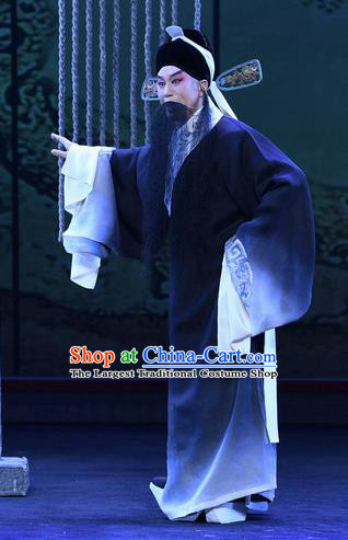 Zhao Jintang Chinese Ping Opera Elderly Male Garment Costumes and Headwear Pingju Opera Laosheng Zhu Chundeng Apparels Clothing