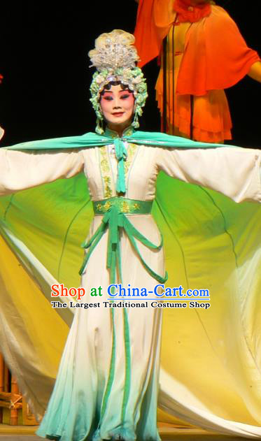 Chinese Sichuan Opera Ghost Red Plum Li Huiniang Garment Costumes and Hair Accessories Traditional Peking Opera Actress Dress Hua Tan Apparels