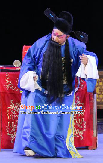 Sheng Si Pai Chinese Sichuan Opera Elderly Male Apparels Costumes and Headpieces Peking Opera Magistrate Huang Boxian Garment Official Clothing