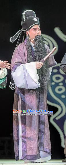 Bao En Ji Chinese Sichuan Opera Laosheng Apparels Costumes and Headpieces Peking Opera Elderly Male Garment Official Wen Datong Clothing