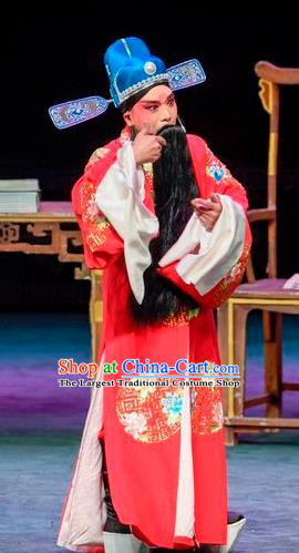 Qin Xianglian Chinese Sichuan Opera Actor Chen Shimei Apparels Costumes and Headpieces Peking Opera Official Garment Minister Clothing