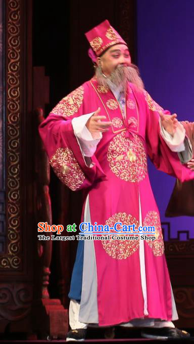 He Zhu Pei Chinese Sichuan Opera Ministry Councillor Apparels Costumes and Headpieces Peking Opera Elderly Male Garment Landlord Jin Sanguan Clothing