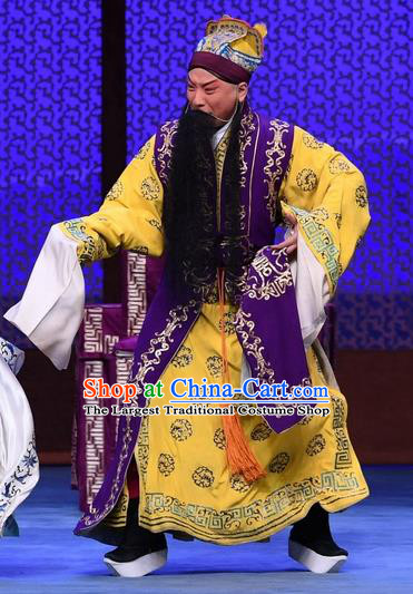 Luo Cheng Chinese Peking Opera Laosheng Garment Costumes and Headwear Beijing Opera Elderly Male Apparels Emperor Li Yuan Clothing