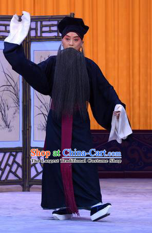 Sister Thirteen Chinese Peking Opera Laosheng An Xuehai Garment Costumes and Headwear Beijing Opera Apparels Elderly Male Clothing