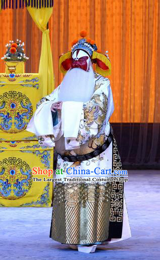 Da Bao Guo Er Jin Gong Chinese Peking Opera Lord Xu Yanzhao Garment Costumes and Headwear Beijing Opera Laosheng Elderly Male Apparels Clothing