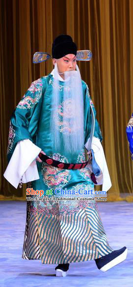 Da Bao Guo Er Jin Gong Chinese Peking Opera Laosheng Garment Costumes and Headwear Beijing Opera Elderly Male Apparels Official Yang Bo Clothing