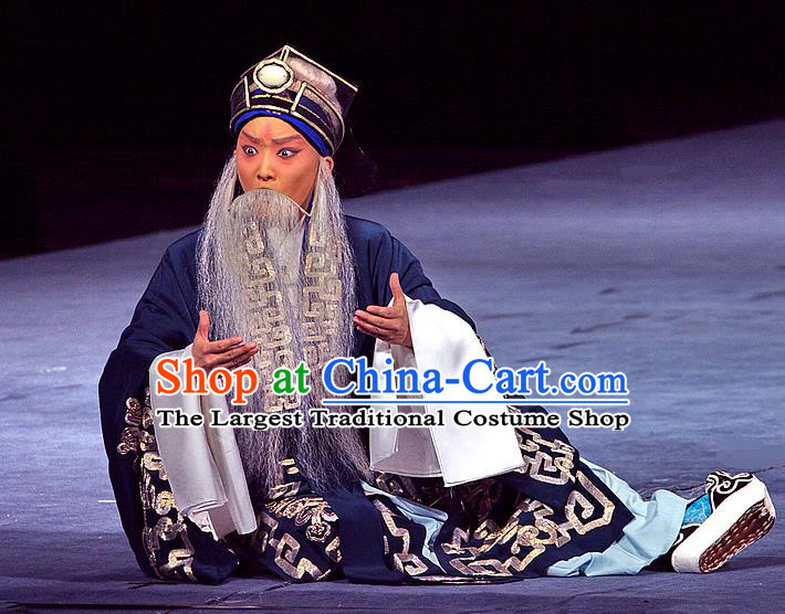 Sacrifice Zhao Shi Gu Er Chinese Peking Opera Elderly Landlord Gongsun Chujiu Garment Costumes and Headwear Beijing Opera Laosheng Apparels Minister Clothing