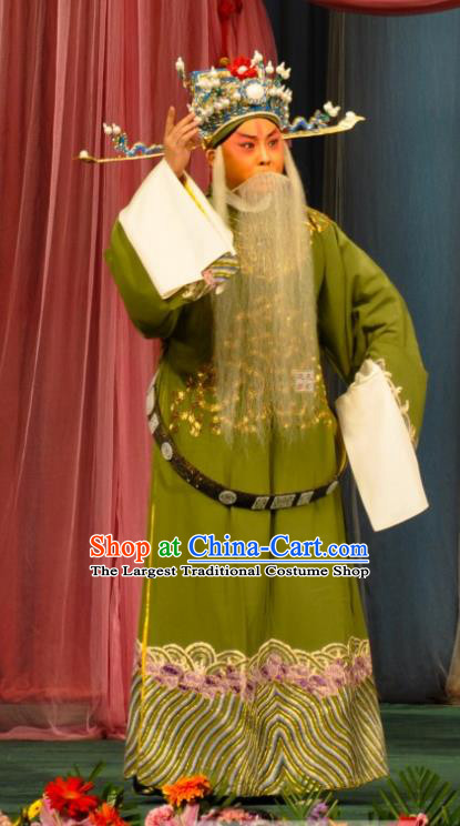 Han Gong Jing Hun Chinese Peking Opera Minister Deng Yu Garment Costumes and Headwear Beijing Opera Elderly Male Apparels General Clothing