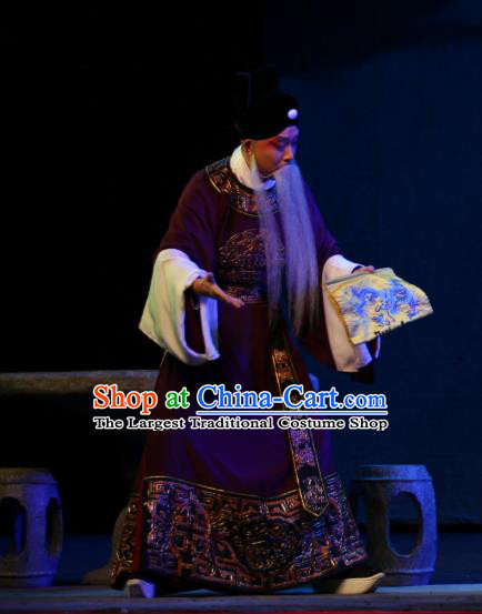 Da Meng Chang Ge Chinese Peking Opera Official Garment Costumes and Headwear Beijing Opera Laosheng Elderly Male Xin Qiji Apparels Clothing