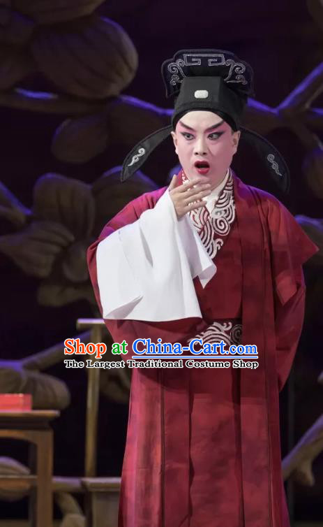 Qing Si Hen Chinese Peking Opera Young Male Garment Costumes and Headwear Beijing Opera Xiaosheng Apparels Scholar Wang Kui Clothing