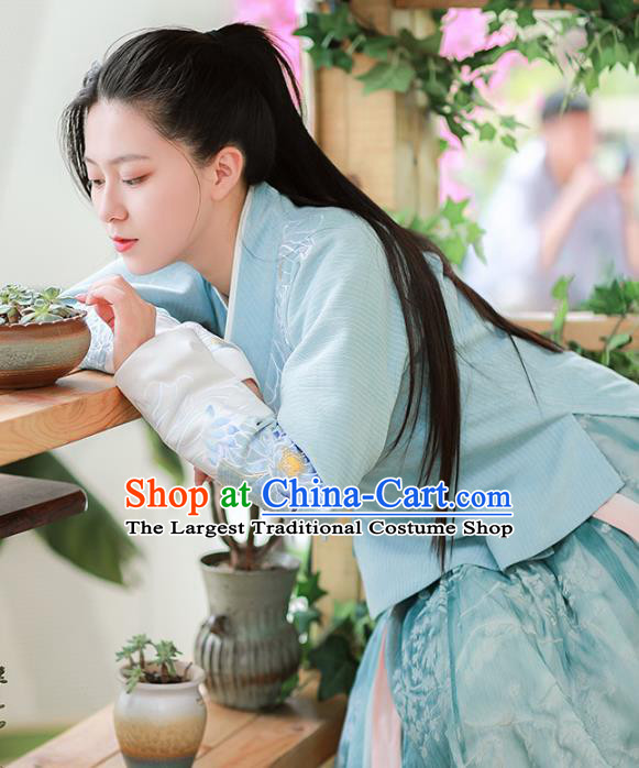 Chinese Ancient Civilian Female Embroidered Hanfu Dress Ming Dynasty Garment Traditional Young Lady Historical Costumes for Women