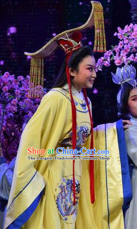 Madam Ruyi Chinese Shanxi Opera Emperor Li Zhi Apparels Costumes and Headpieces Traditional Jin Opera Young Male Garment Monarch Clothing