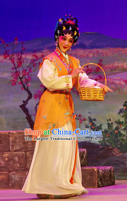 Chinese Cantonese Opera Xiaodan Garment Costumes and Headdress Traditional Guangdong Opera Young Beauty Apparels Village Girl Dress