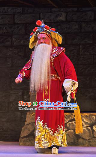 Chinese Guangdong Opera Infante Apparels Costumes and Headpieces Traditional Cantonese Opera Elderly Male Garment Lord Wu Zixu Clothing