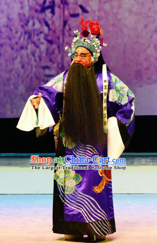 Hua Jian Ji Chinese Guangdong Opera General Apparels Costumes and Headpieces Traditional Cantonese Opera Jing Garment Elderly Male Clothing