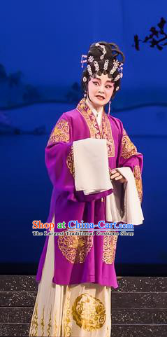 Chinese Cantonese Opera Rich Female Garment The Romance of Hairpin Costumes and Headdress Traditional Guangdong Opera Dame Apparels Landlord Shiva Dress