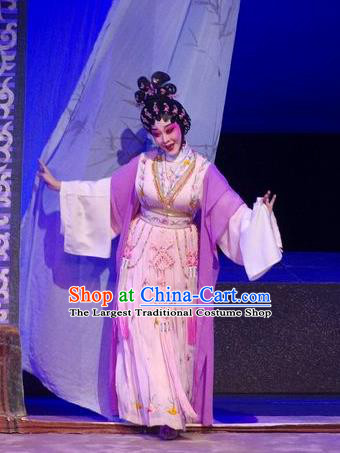 Chinese Cantonese Opera Actress Huo Xiaoyu Garment Story of the Violet Hairpin Costumes and Headdress Traditional Guangdong Opera Young Beauty Apparels Diva Dress