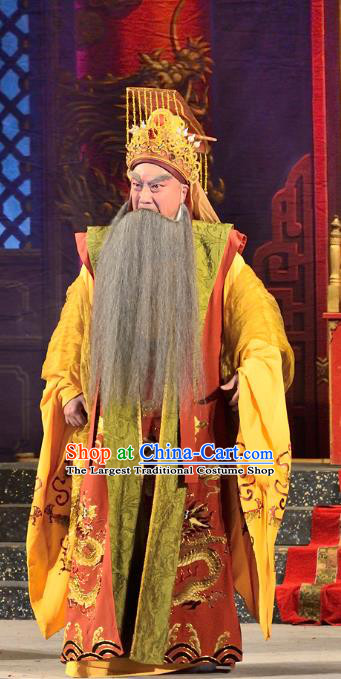 Chinese Guangdong Opera Laosheng Apparels Costumes and Headwear Traditional Cantonese Opera King Miaozhuang Garment Elderly Male Clothing