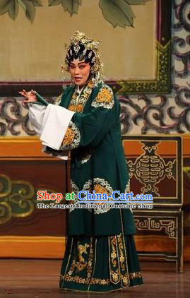 Chinese Cantonese Opera Rich Woman Garment Feng Guan Meng Costumes and Headdress Traditional Guangdong Opera Mistress Apparels Dame Dress