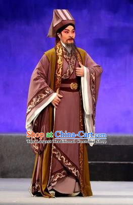 Pan Maoming Chinese Guangdong Opera Elderly Male Apparels Costumes and Headwear Traditional Cantonese Opera Laosheng Garment Physician Clothing