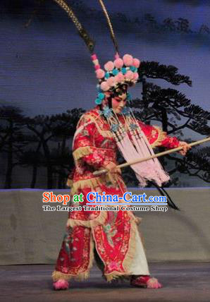 Chinese Cantonese Opera Wudan Garment Fan Lihua Return Tang Costumes and Headdress Traditional Guangdong Opera Tao Ma Tan Apparels Female General Red Dress