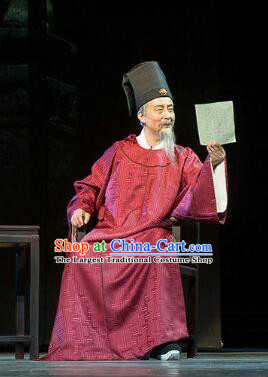 Chinese Traditional Ming Dynasty Official Xu Jie Clothing Stage Performance Historical Drama Apparels Elderly Male Costumes Ancient Minister Garment and Headwear