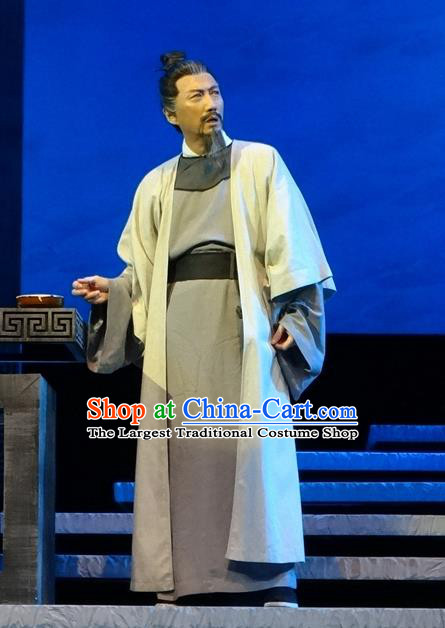 Chinese Traditional Song Dynasty Provincial Governor Clothing Stage Performance Historical Drama Han Wengong Apparels Costumes Ancient Scholar Han Yu Garment and Headwear