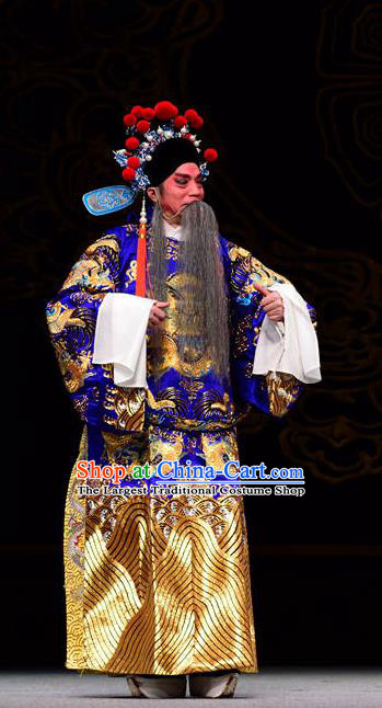 Dan Dao Hui Chinese Sichuan Opera Laosheng Apparels Costumes and Headpieces Peking Opera Highlights Elderly Male Garment Official Lu Su Clothing