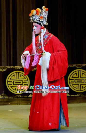 Chinese Sichuan Opera Eunuch Guo Huai Apparels Costumes and Headpieces Peking Opera Highlights Clown Garment Court Servant Clothing