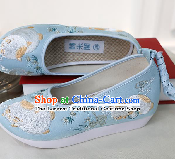 Chinese Ancient Princess Shoes Embroidered Blue Shoes Traditional Ming Dynasty Shoes