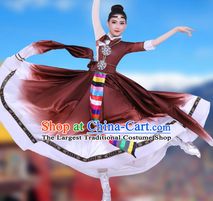 Chinese Traditional Zang Nationality Folk Dance Clothing Xizang Tibetan Ethnic Performance Brown Dress