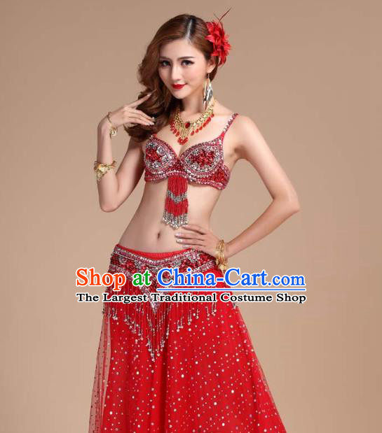 India Belly Dance Performance Clothing Indian Oriental Dance Uniforms Asian Traditional Raks Sharki Red Bra and Skirt