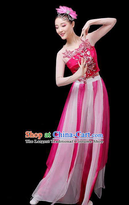 Chinese Traditional Solo Dance Performance Clothing Classical Dance Costume Umbrella Dance Rosy Dress