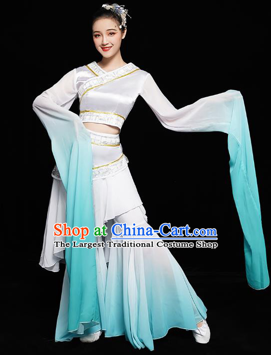 Chinese Classical Dance Performance Clothing Water Sleeve Dress Traditional Court Dance Costumes