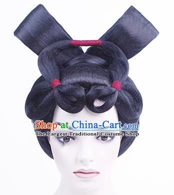 China Traditional Tang Dynasty Court Lady Performance Wigs Chignon Classical Dance Hair Accessories