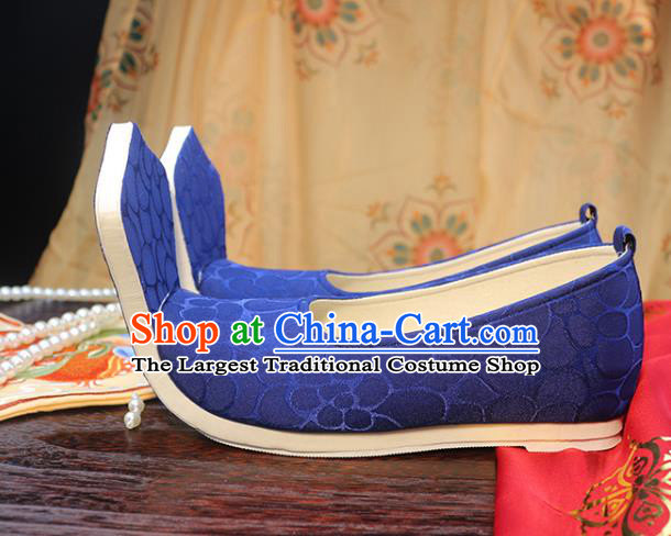 Chinese Ancient Princess Shoes Tang Dynasty Embroidered Shoes Royalblue Cloth Shoes Traditional Hanfu Shoes