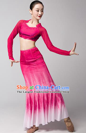 China Dai Nationality Folk Dance Clothing Yunnan Ethnic Stage Performance Garments Peacock Dance Rosy Dress