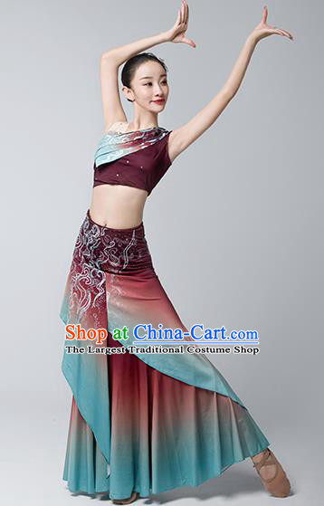 China Ethnic Female Peacock Dance Garments Yunnan Minority Folk Dance Wine Red Dress Dai Nationality Stage Performance Clothing