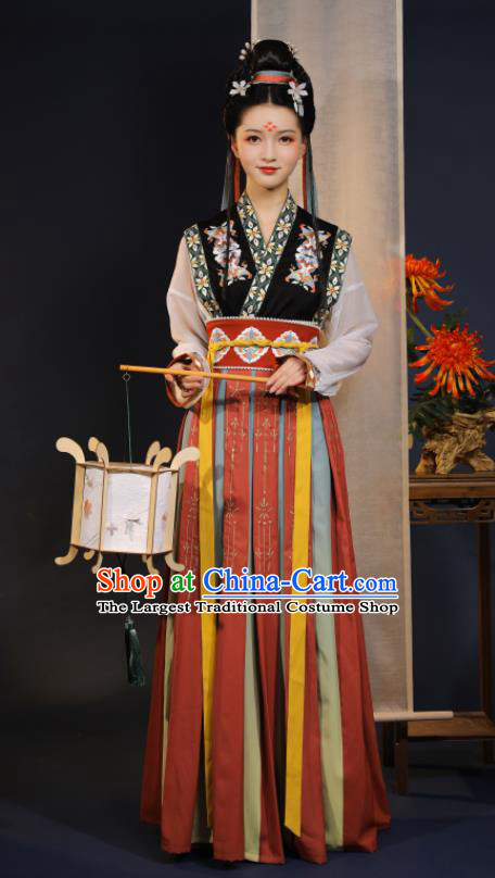 China Tang Dynasty Court Dance Historical Clothing Ancient Noble Infanta Embroidered Hanfu Dress Garments for Women