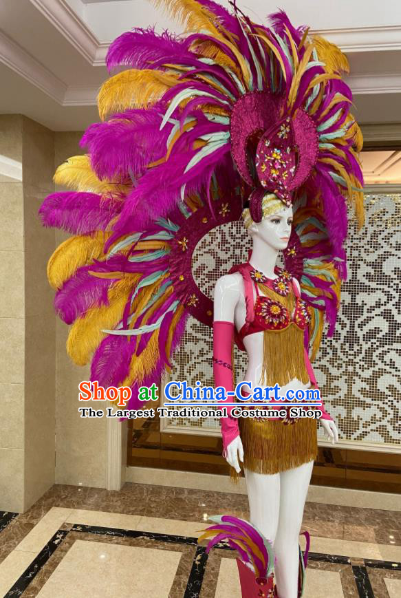 Miami Deluxe Rosy Feathers Wings and Headdress Brazilian Carnival Props Professional Samba Dance Clothing