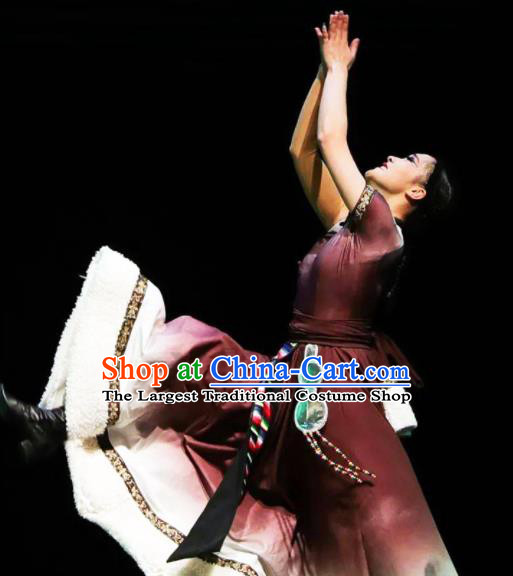 Chinese Zang Nationality Woman Dance Clothing Traditional Ethnic Stage Performance Brown Dress Outfits Tibetan Minority Dance Apparels