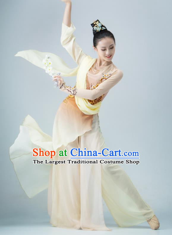 Chinese Dance Competition Clothing Classical Dance Costume Umbrella Dance Apricot Dress