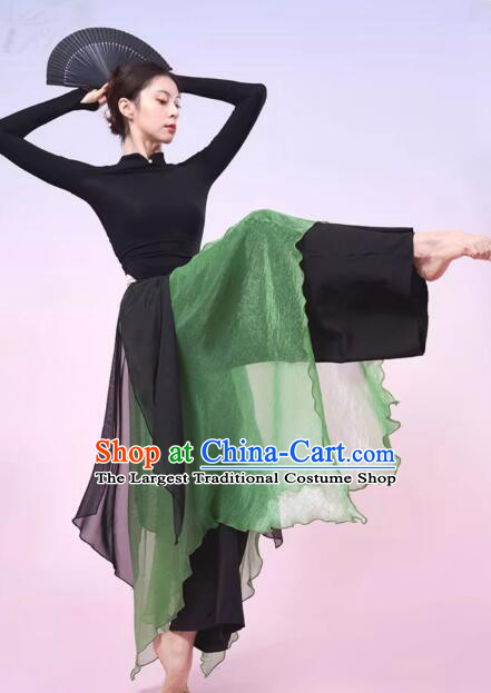 China Classical Dance Costume Woman Dance Training Clothing Modern Dance Black and Green Outfit