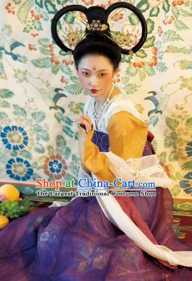 Chinese Tang Dynasty Princess Garments Ancient Young Lady Costumes Classical Dance Hanfu Dress