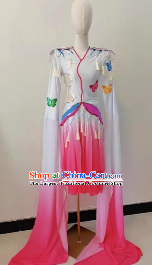 Hundred Flowers Zhengyan Dance Costume Female Hundred Flowers Zhengyan Children Performance Costume Opera Huadan Long Water Sleeve Peking Opera Costume