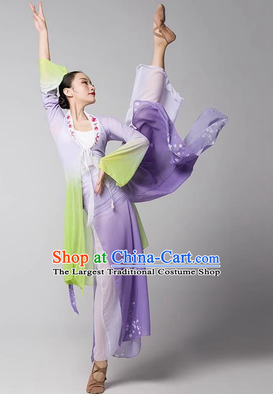 Practice Clothes Modern Dance Dream Catcher Chinese Ancient Style Gauze Clothes Shape Elegant Shawl Performance Dance Clothes