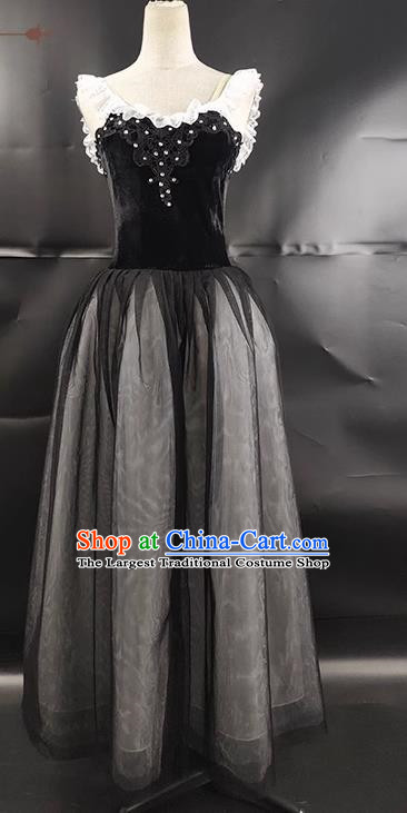 Ballet Skirt Adult Female Tutu Performance Clothing Practice Clothing Fluffy Gauze Skirt Black Swan Lake Black Performance Clothing