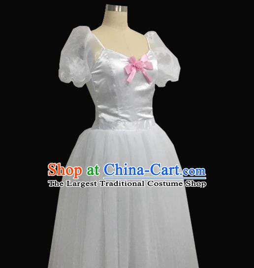 Ballet Costumes Professional Giselle Dress Chest Applique Fluffy Princess Dress Repertoire Costumes