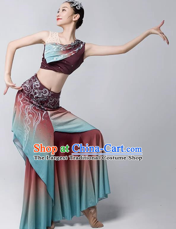 Dai Costume Female Practice Dance Performance Clothing Art Test Practice Skirt Adult Peacock Fishtail Skirt Performance Clothing