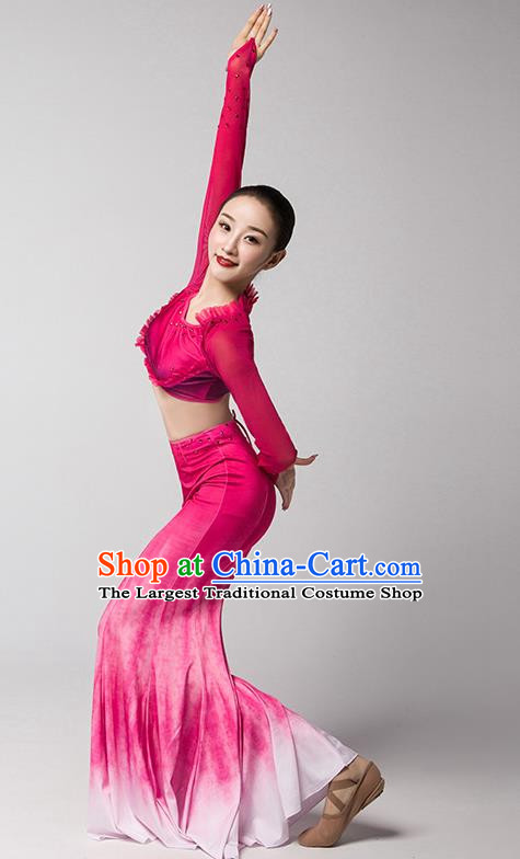 Taoli Cup Art Test Practice Clothing Performance Adult Children Dai Dance Performance Clothing Girl Peacock Dance Mermaid Skirt